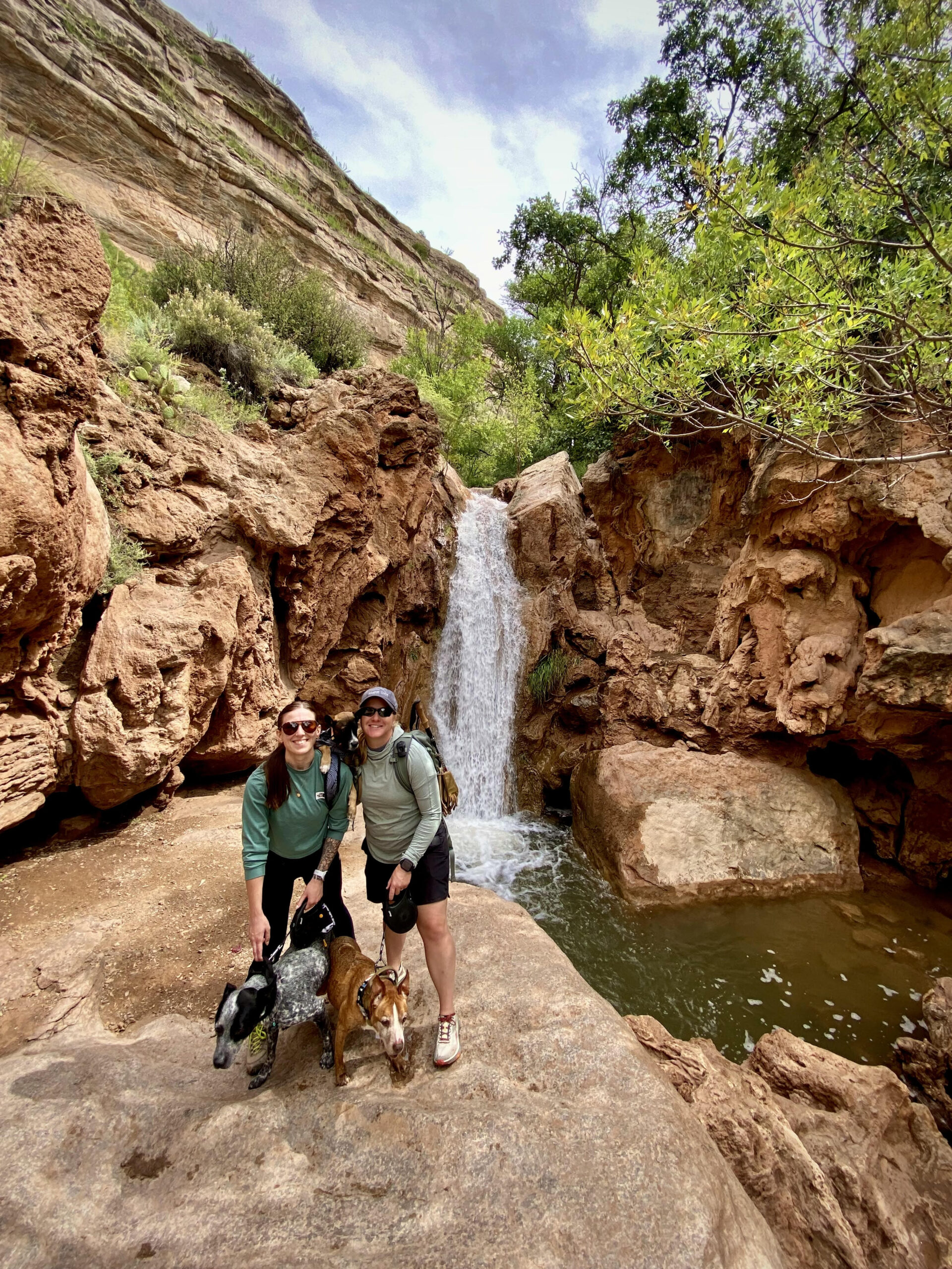 Hike organizer